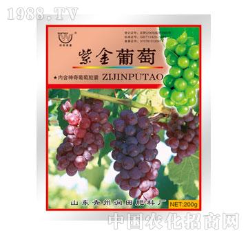 ��(r��n)��-�Ͻ�����