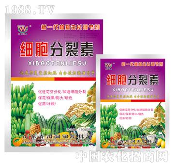 ����-��(x��)��������