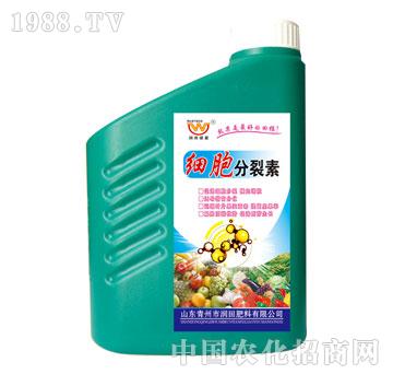 ����-��(x��)��������1kg