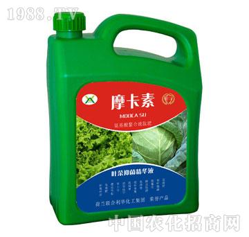 �~���־����AҺ-Ħ����-��(qi��ng)о��(gu��)�H