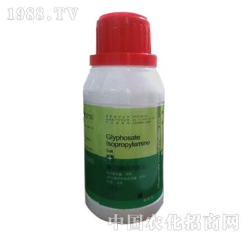 41%�ݸ�좮������}-�G��