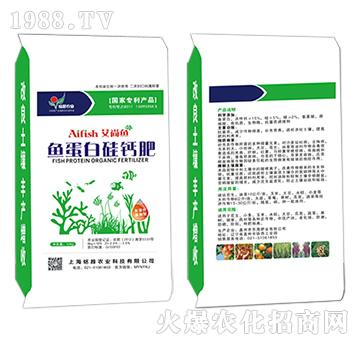 �~���׹��}��-�����~-�Խ