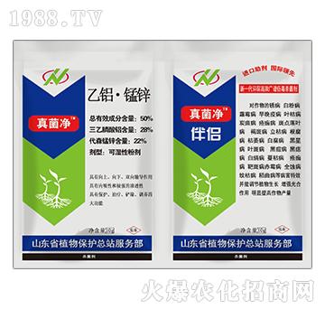 50%���X���i�\-�����+��H-�o(h��)�r(n��ng)