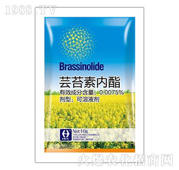 �|̦�؃�(n��i)֬-�A�̻���