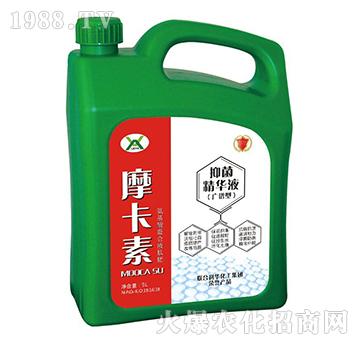 �־����AҺ���V�V�ͣ�-Ħ����-��(qi��ng)о��(gu��)�H