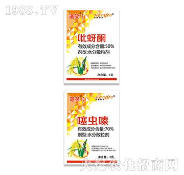 ����ͪ+���x(ch��ng)�-��Ц1+1-���¿��r(n��ng)