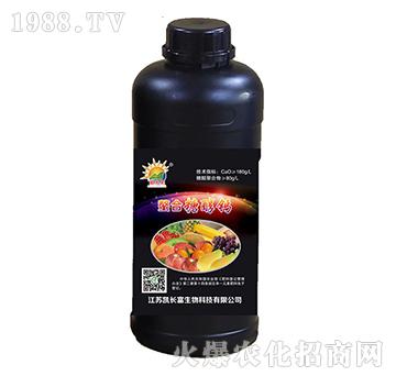 �����Ǵ��}-�P�L(zh��ng)��