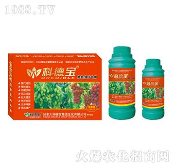 ���������ӌ��àI�B(y��ng)���a(ch��n)�{(di��o)�턩-�Ƶ�