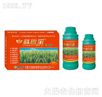С�����àI�B(y��ng)���a(ch��n)�{(di��o)�턩-�Ƶ�