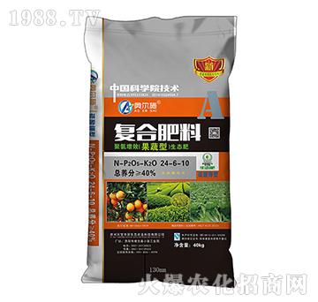 �����͏�(f��)�Ϸ���24-6-10-�쌚�S