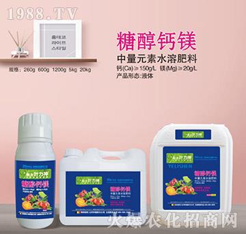 �Ǵ��}�V-ʩ����