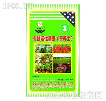 �ЙC(j��)���Ի��|(zh��)���I(y��ng)�B(y��ng)����-�ص���-����