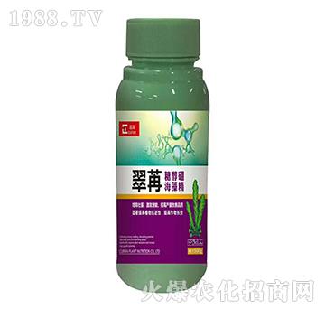 �����Ǵ���-��������