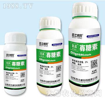 ���������أ�ƿ��-��ʿ��