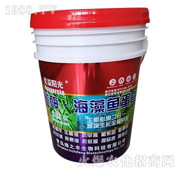 ̼ø�����~����-��(y��u)��ꖹ�-�G֮�S