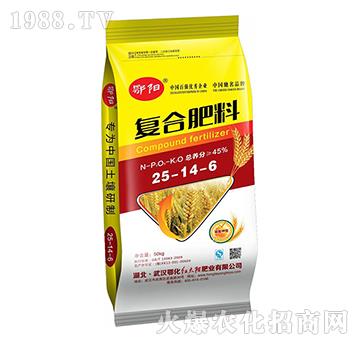 ������͏�(f��)�Ϸ���25-14-6-���