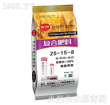 ������͏�(f��)�Ϸ���25-15-8-���