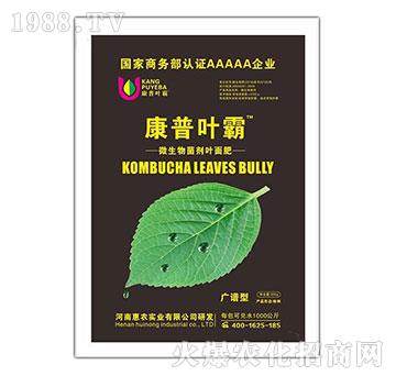 �V�V��΢��������~���-�����~��-���r���I(y��)