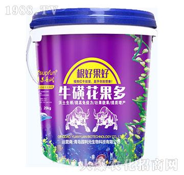 ���ǻ�����-�@��Ԫ