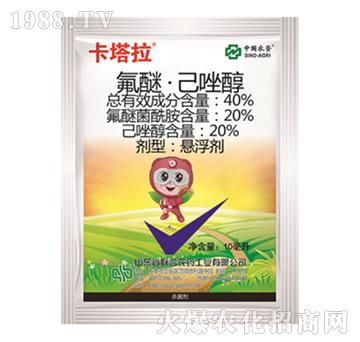 40%���ѡ�����-������-���r(n��ng)(li��n)��