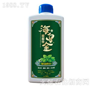 �Ǵ��\-������-��������