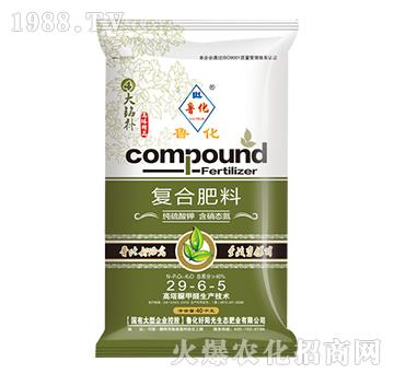 ����������⛏ͺϷ���29-6-5-����