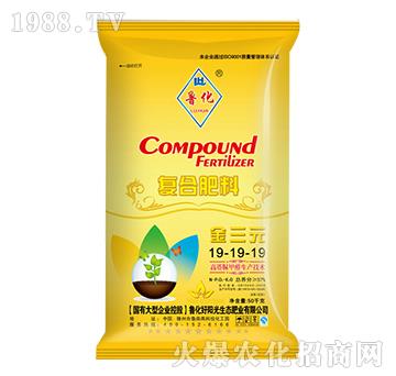 �������ȩ�ͺϷ���19-19-19-����