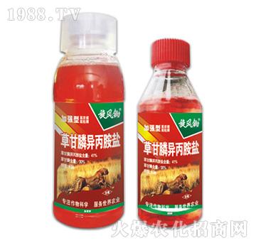 41%�ݸ�좮������}-���L(f��ng)�z-�ݵ�˹