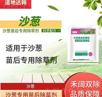 ɳ�[���݄�-ɳ�[���-ɳ�[����-���n