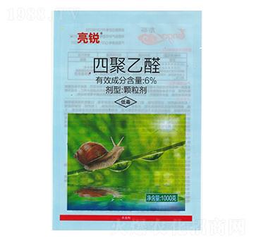 1000���ľ���ȩ-���J-��������