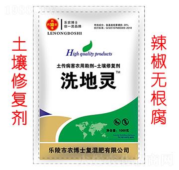 �����ޏ̈́���������-ϴ���`-���r��ʿ