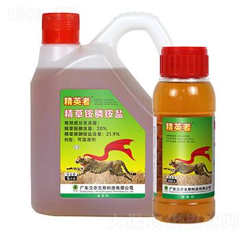 20%�����@�-��Ӣ��-�V�|���r(n��ng)