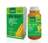 �����-22%����ݬȥ��