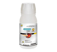 ��ù������-������