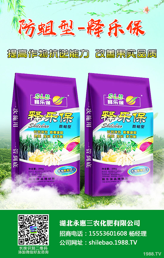 秋冬柑橘得了急性炭疽病怎么辦？柑橘急性炭疽病的發(fā)病原因及防治方法！