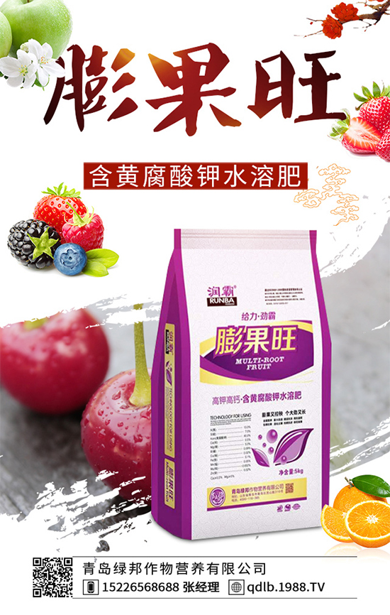 甘藍(lán)軟腐病有哪些癥狀表現(xiàn)？是如何發(fā)生的？甘藍(lán)軟腐病預(yù)防措施