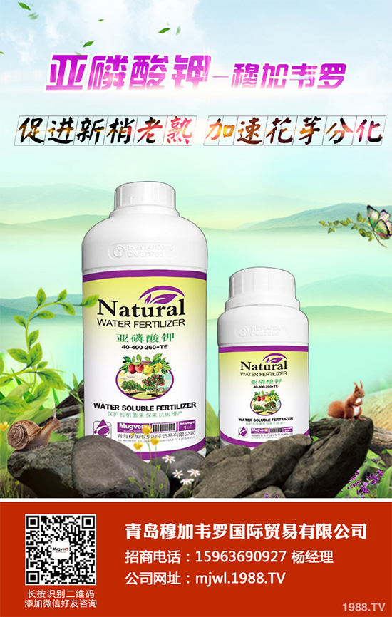 甘藍(lán)軟腐病有哪些癥狀表現(xiàn)？是如何發(fā)生的？甘藍(lán)軟腐病預(yù)防措施