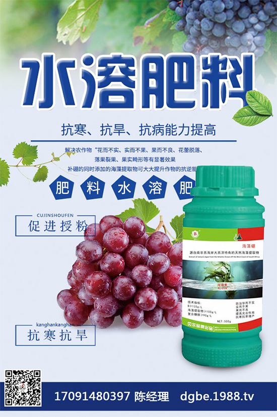 甘藍(lán)黑斑病危害這么大，到底該如何防治？快來看看吧！