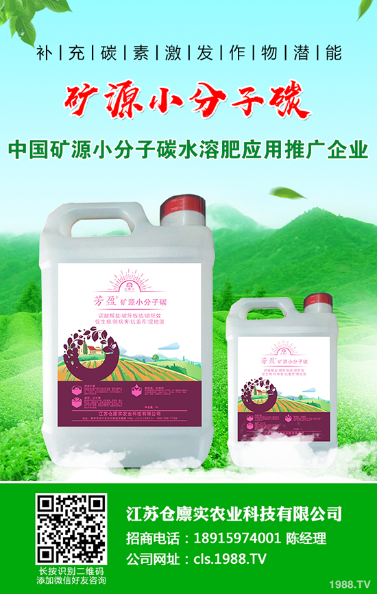 馬鈴薯爆發(fā)晚疫病怎么辦？馬鈴薯晚疫病防治方法！