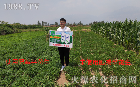     好產(chǎn)品用事實(shí)說話，“肥減半”用過的農(nóng)戶都說好！