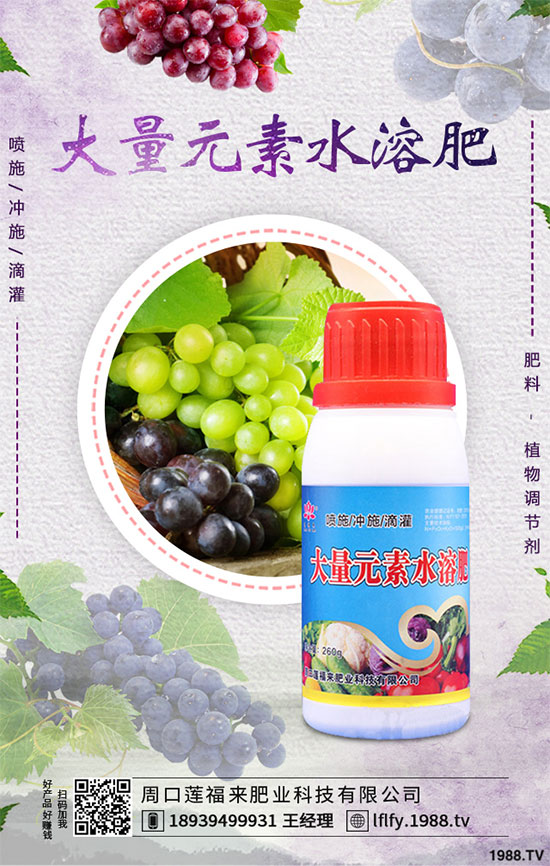 冬小麥播種后出苗不齊是怎么回事？小麥出苗不好預(yù)防措施！