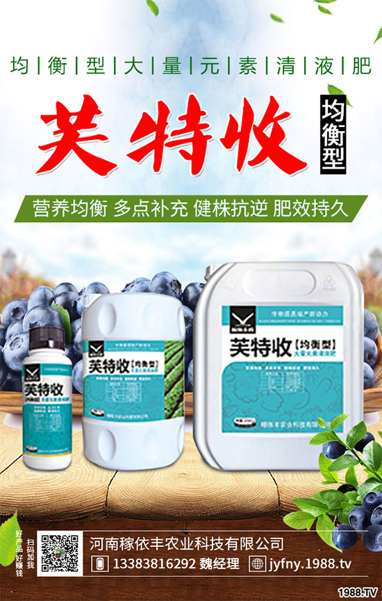 陽(yáng)臺(tái)上能種植上海青嗎？該注意什么？陽(yáng)臺(tái)上種植上海青的注意事項(xiàng)