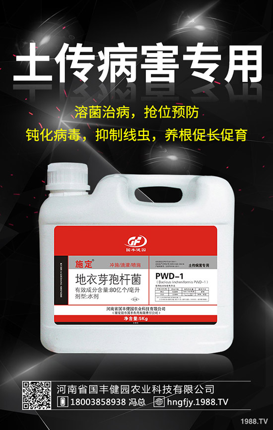 小麥除草劑什么時候打好，小麥打除草劑的時間及注意事項！