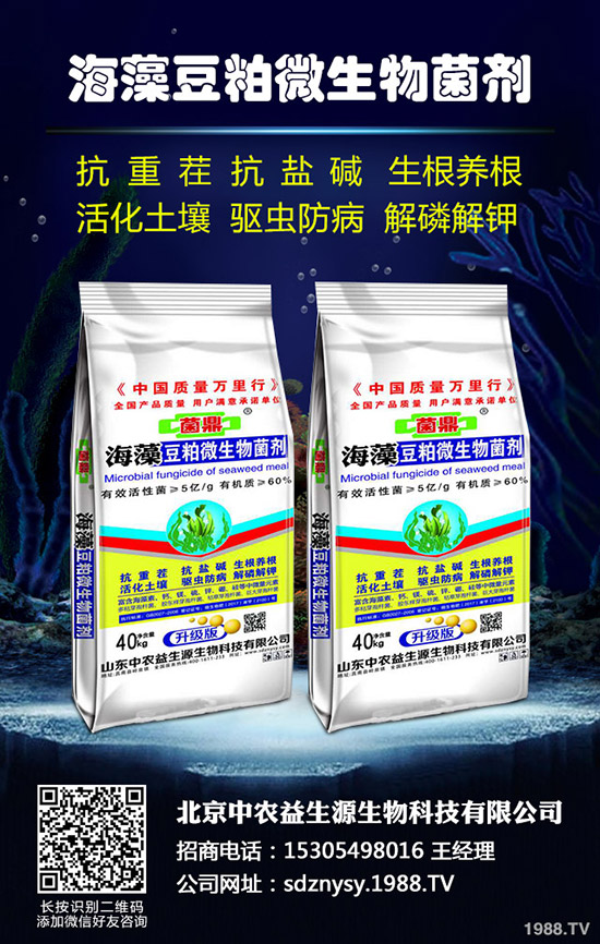 今日國內最新氯化鉀市場價格快訊2019-10-5