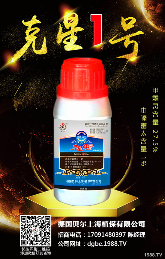 香椿種子怎么種，香椿種子的種植方法！