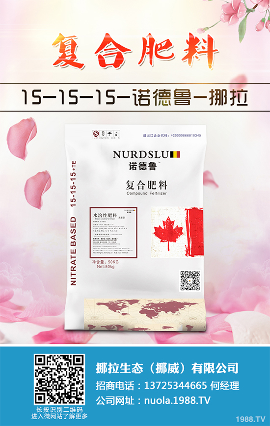 香蔥該如何栽培？秋茬香蔥高產(chǎn)技術要點