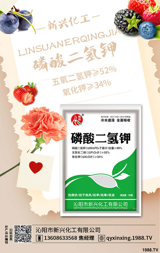 香蔥連作危害大，到底該如何解決？香蔥連作障礙及高產(chǎn)管理技術(shù)！