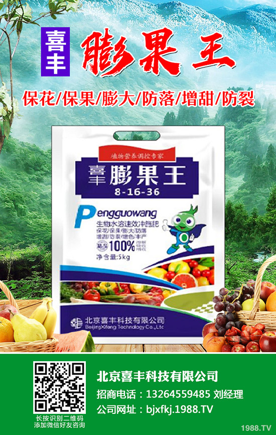 芹菜發(fā)芽慢怎么辦，芹菜催芽方法有哪些？