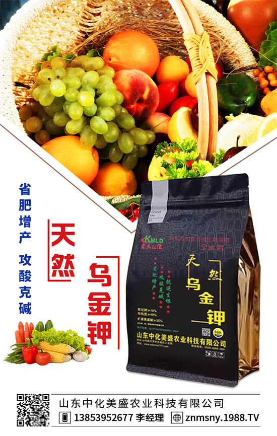 �۲˞�ʲô�����F(xi��n)�������۲˿��ĵķ��δ�ʩ��