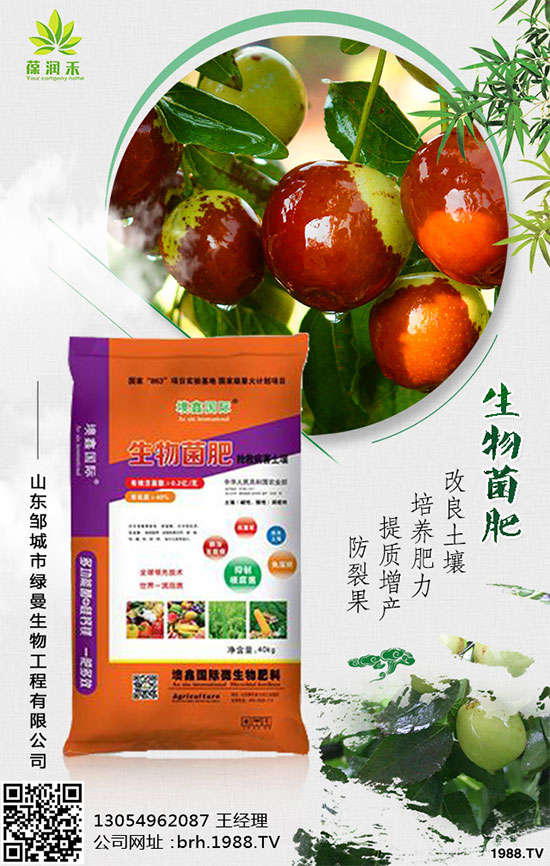 大棚西紅柿怎么栽培？大棚西紅柿高產(chǎn)栽培！